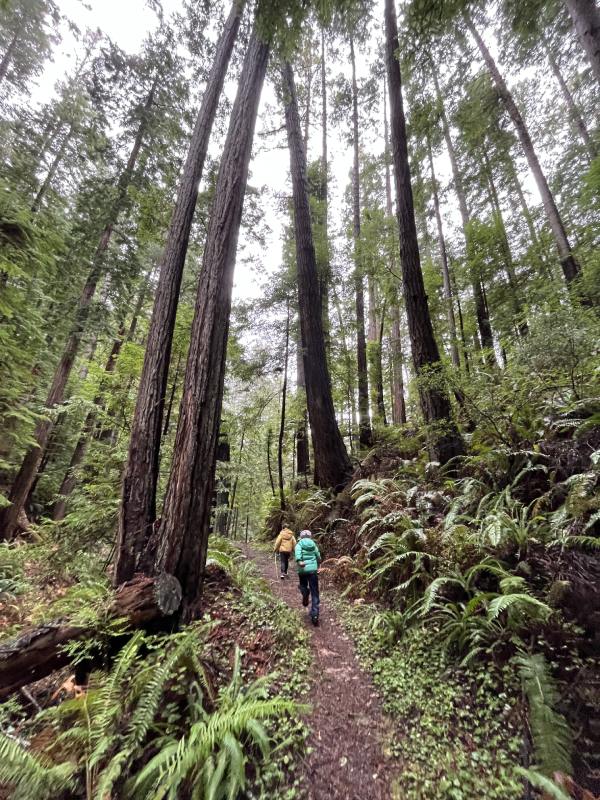 Top 11 Things to Do in Mendocino (Kid-friendly)