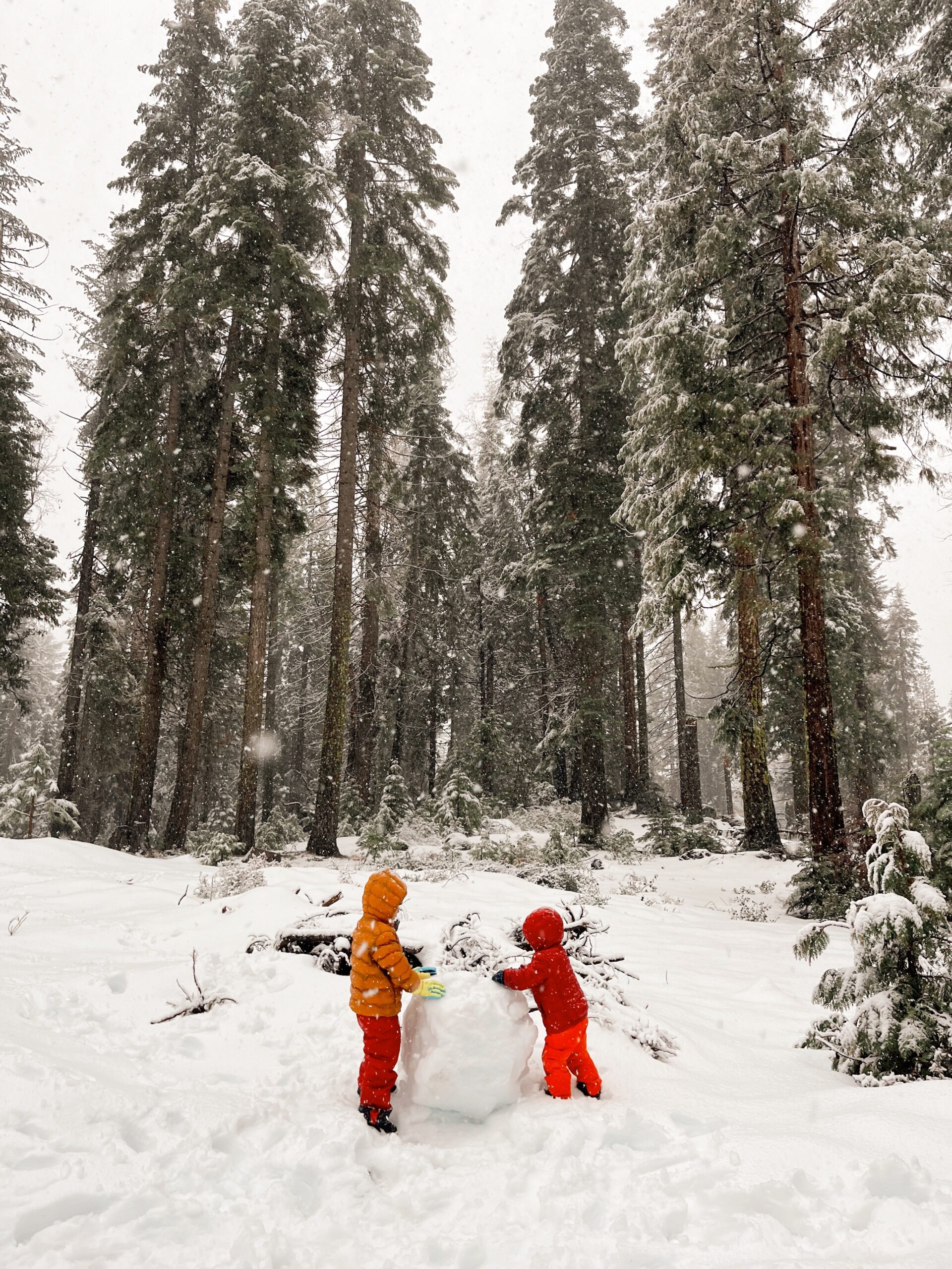 A Family Travel Guide to Yosemite in the Winter