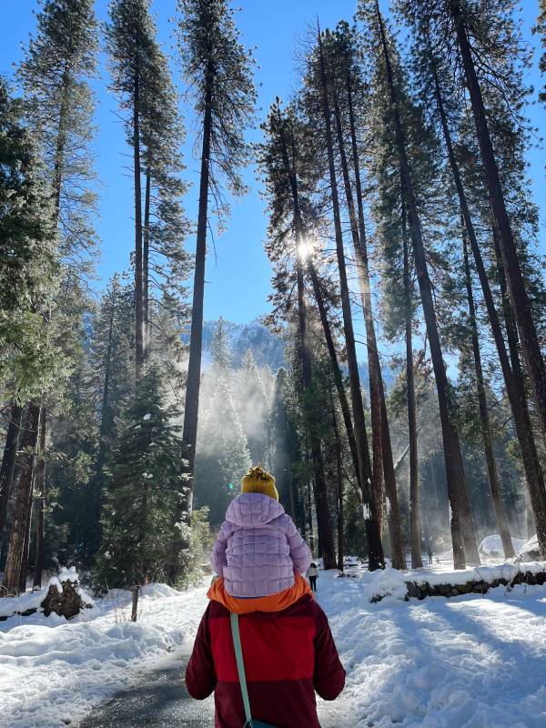 2 Day Yosemite Itinerary in the Winter with Kids